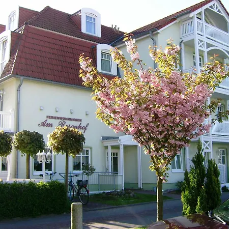 Rosenhof 05 Duenenrose * Ostseebad Kühlungsborn