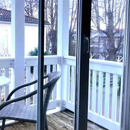 Rosenhof 05 Duenenrose